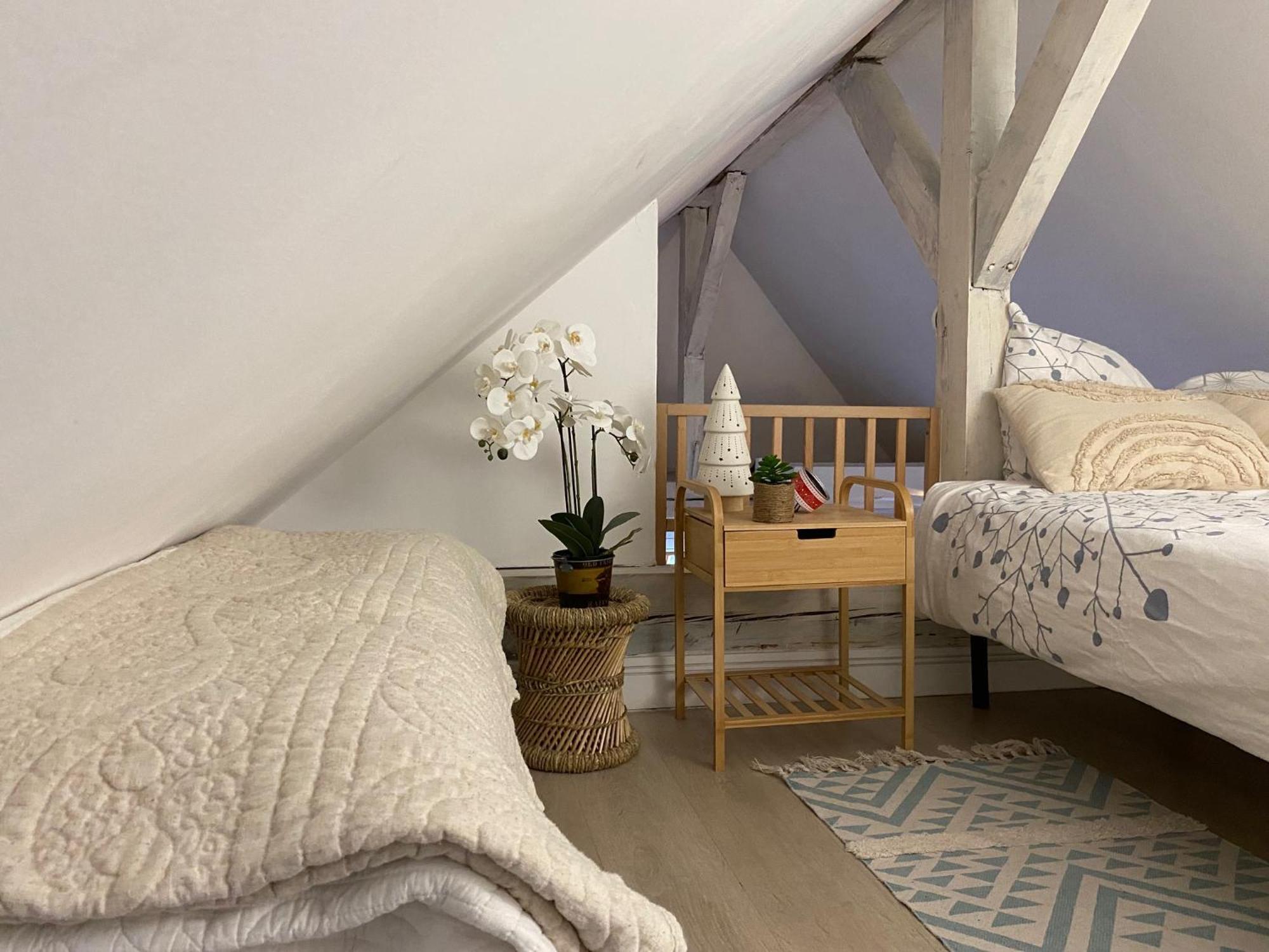 Duplex Spacieux Tout Confort 牟罗兹 外观 照片
